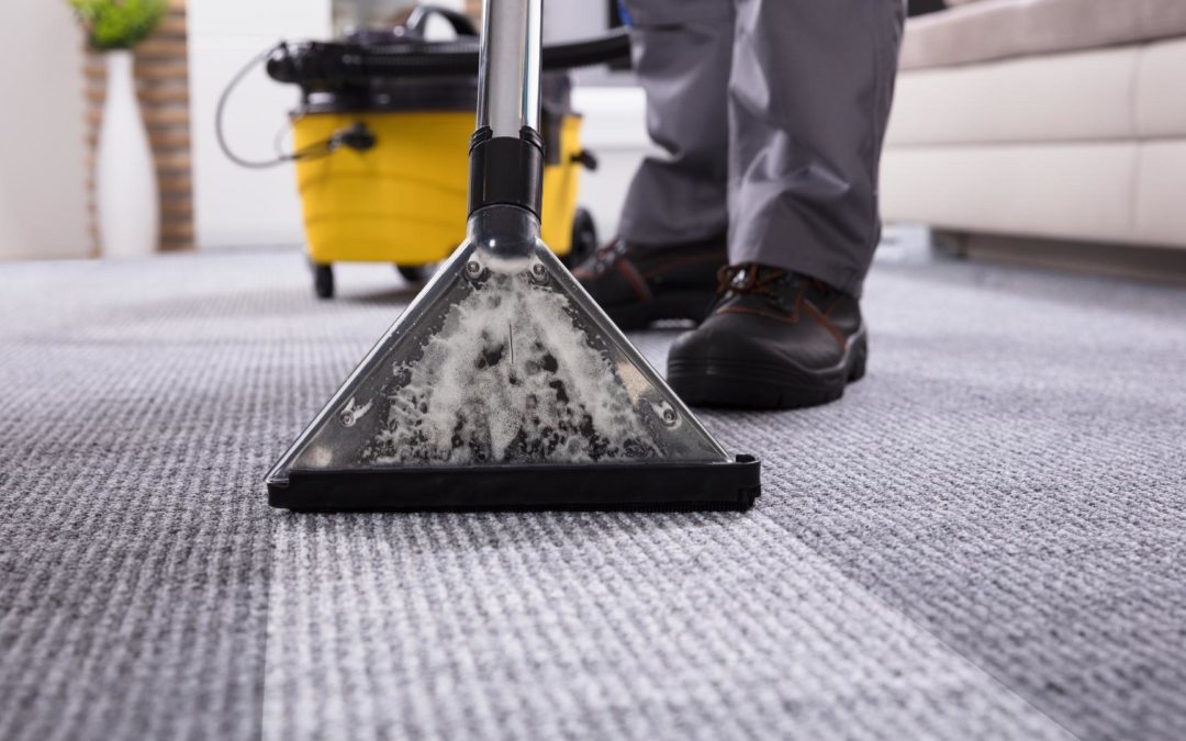 How Often Should I Clean My Carpet? 