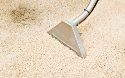 The Crucial Role of Professional Carpet Cleaning