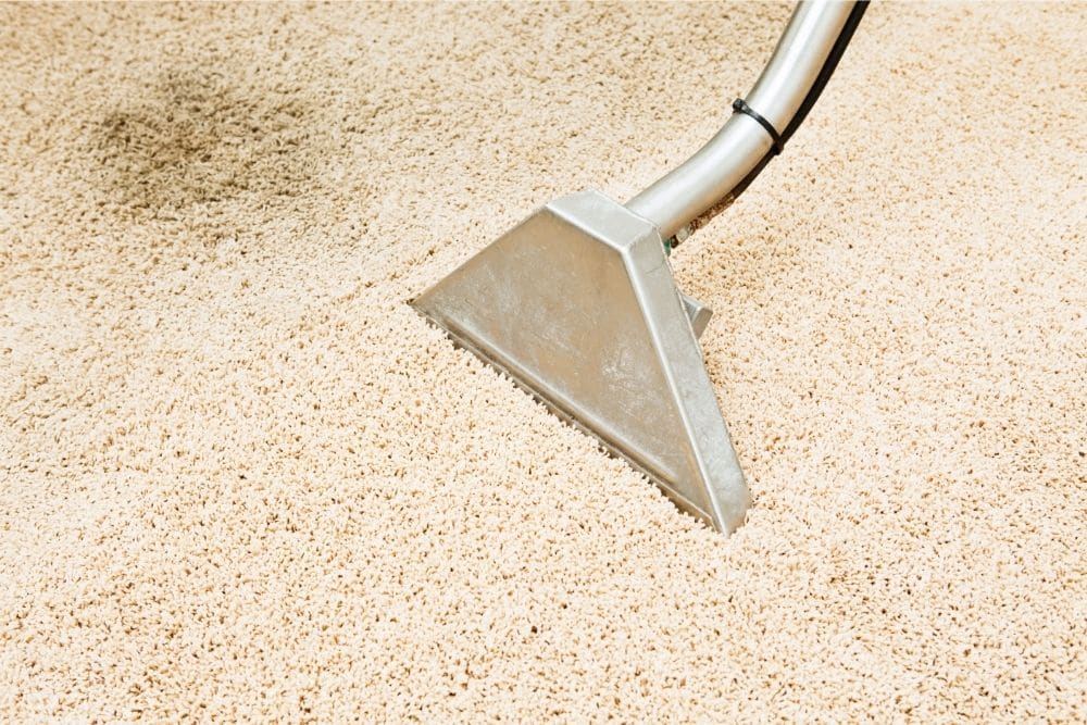 Crucial Role of Professional Carpet Cleaning