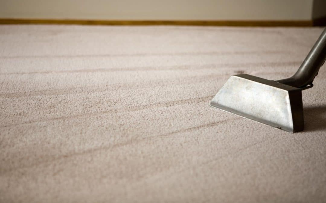 carpet cleaning special
