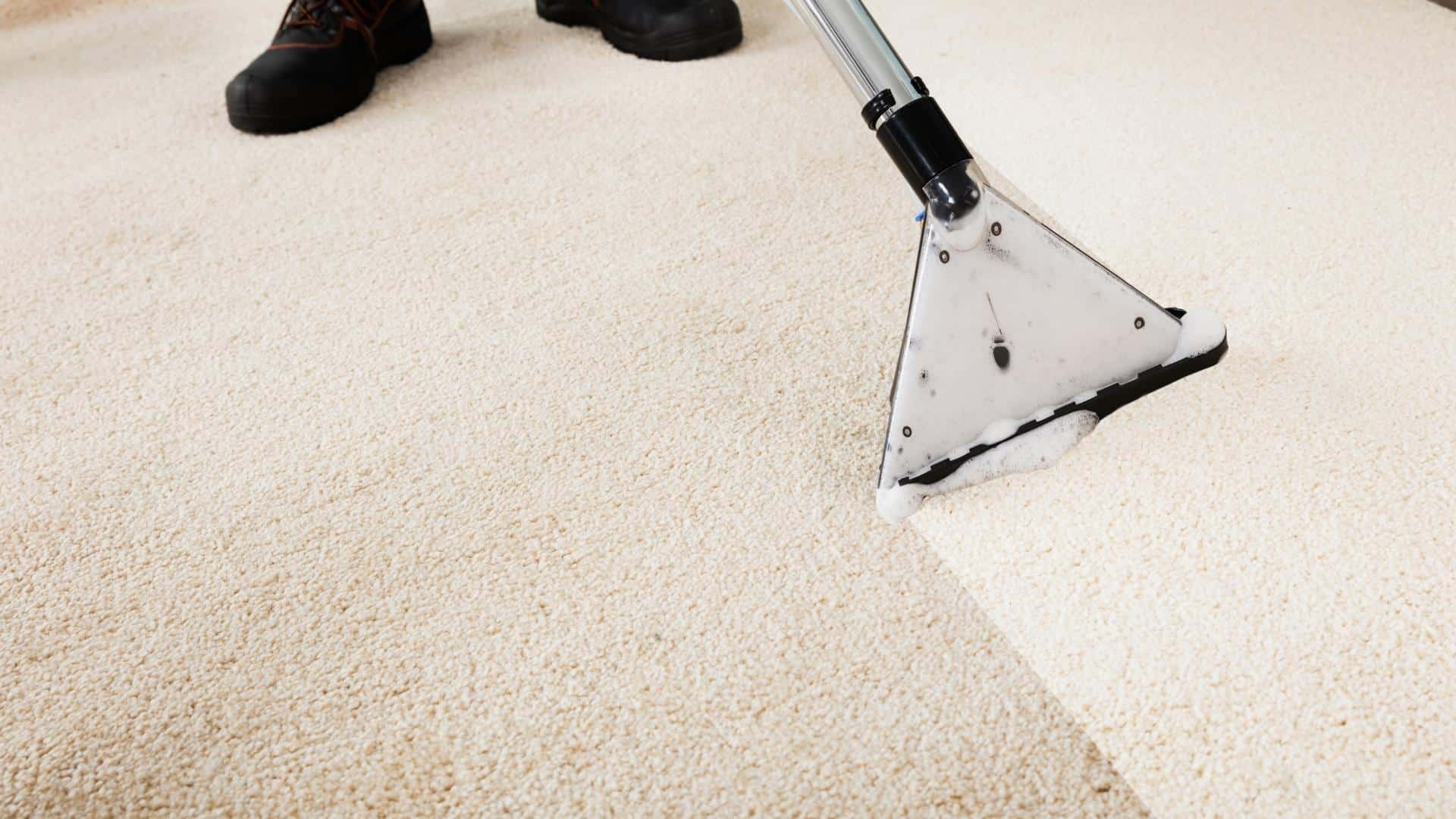 Is Professional Carpet Cleaning Worth It