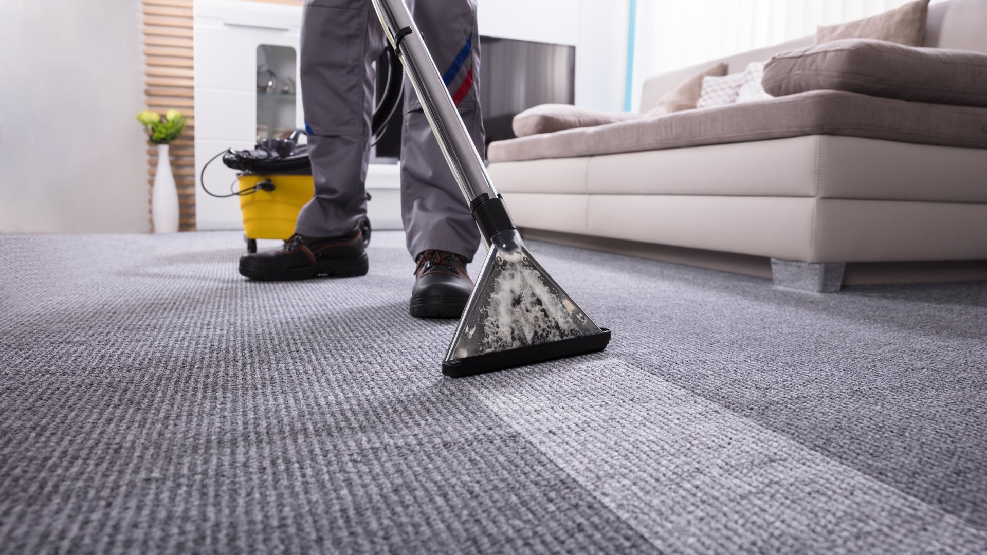 Emergency Carpet Cleaning in Lincoln, NE