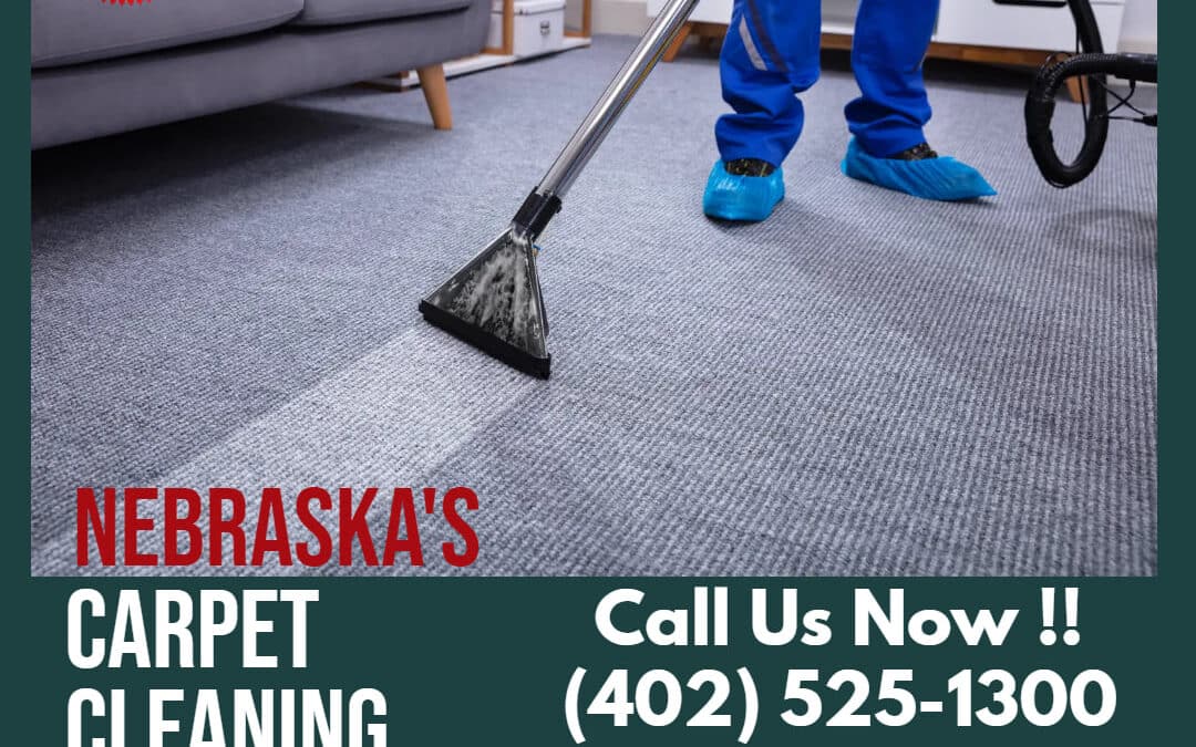 Carpet Care for Pet Owners in Lincoln