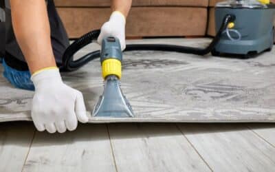 Hidden Allergens at Home: The Role of Professional Carpet Cleaning