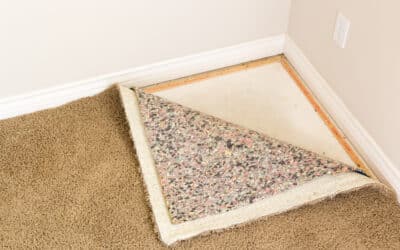 When to Replace Carpet Padding and Why It Matters