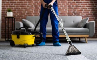 Fall Deep Clean: Preparing Your Carpets for Heavy Winter Foot Traffic