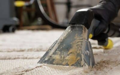 End-of-Summer Carpet Cleanup: Why August Is the Best Time to Refresh Your Floors After School Starts